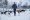Polarlichter in Nordnorwegen - Fotograf Harald Stampfer